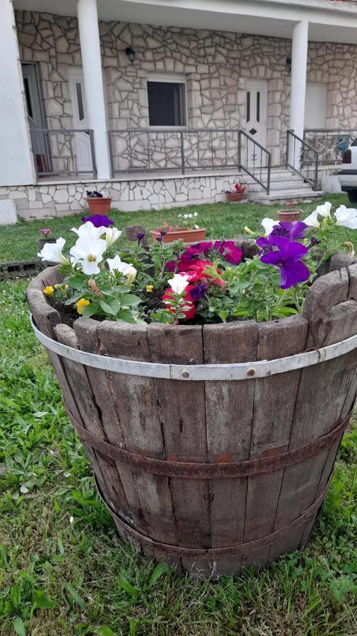 Kamena Kuca Family Rodin Διαμέρισμα Čapljina Εξωτερικό φωτογραφία