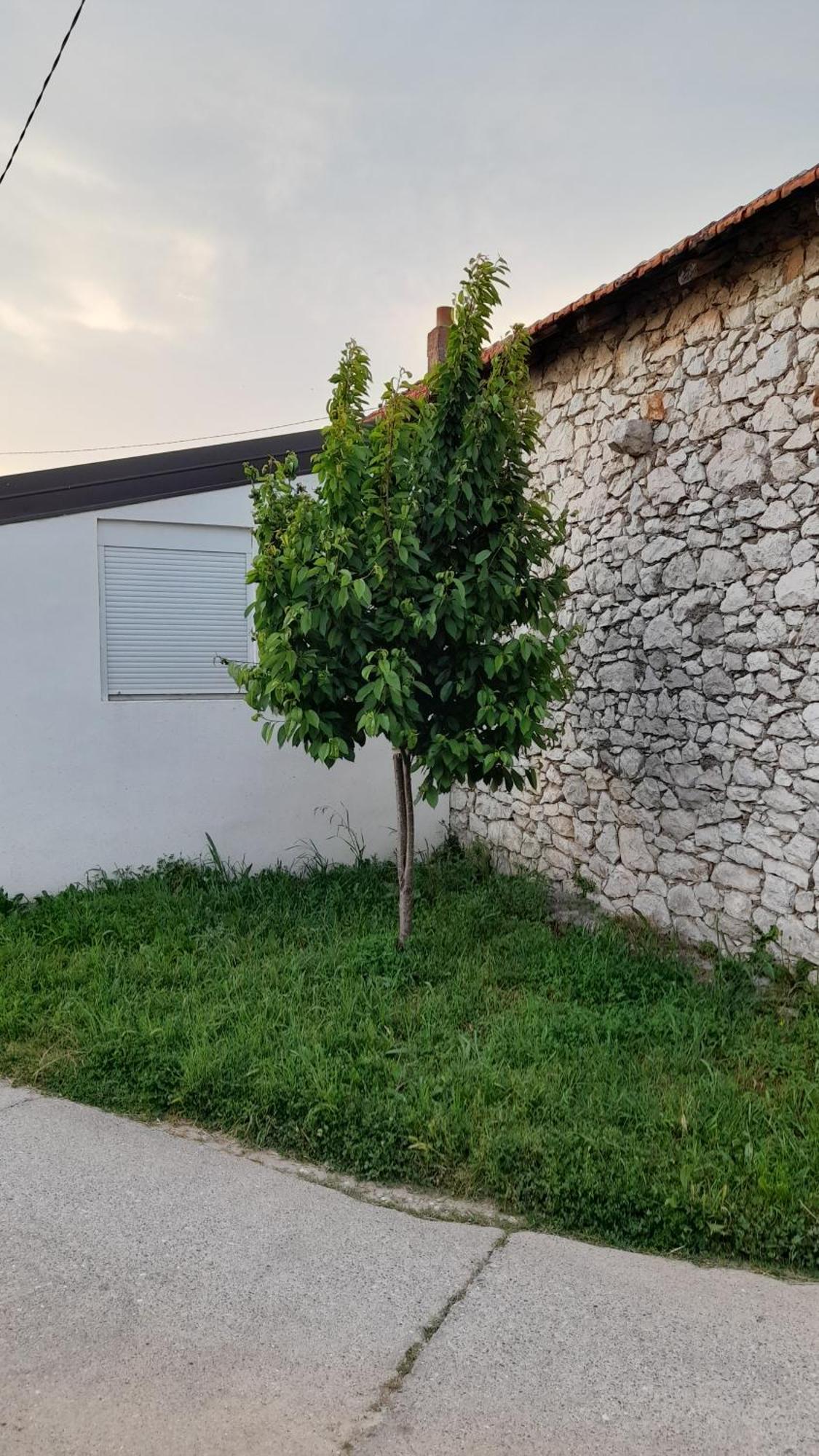 Kamena Kuca Family Rodin Διαμέρισμα Čapljina Εξωτερικό φωτογραφία