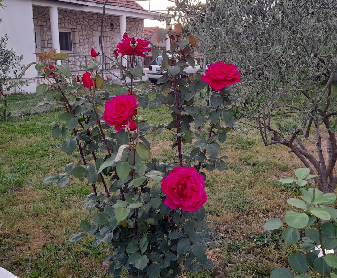 Kamena Kuca Family Rodin Διαμέρισμα Čapljina Εξωτερικό φωτογραφία