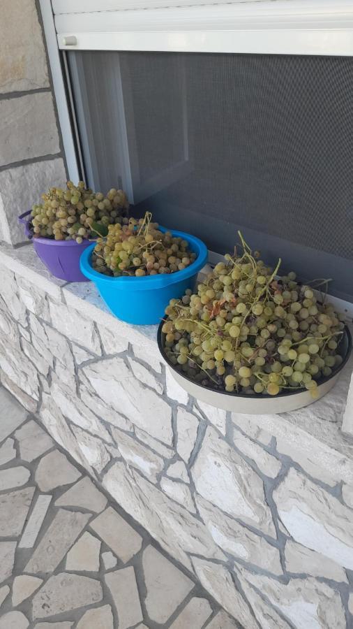 Kamena Kuca Family Rodin Διαμέρισμα Čapljina Εξωτερικό φωτογραφία